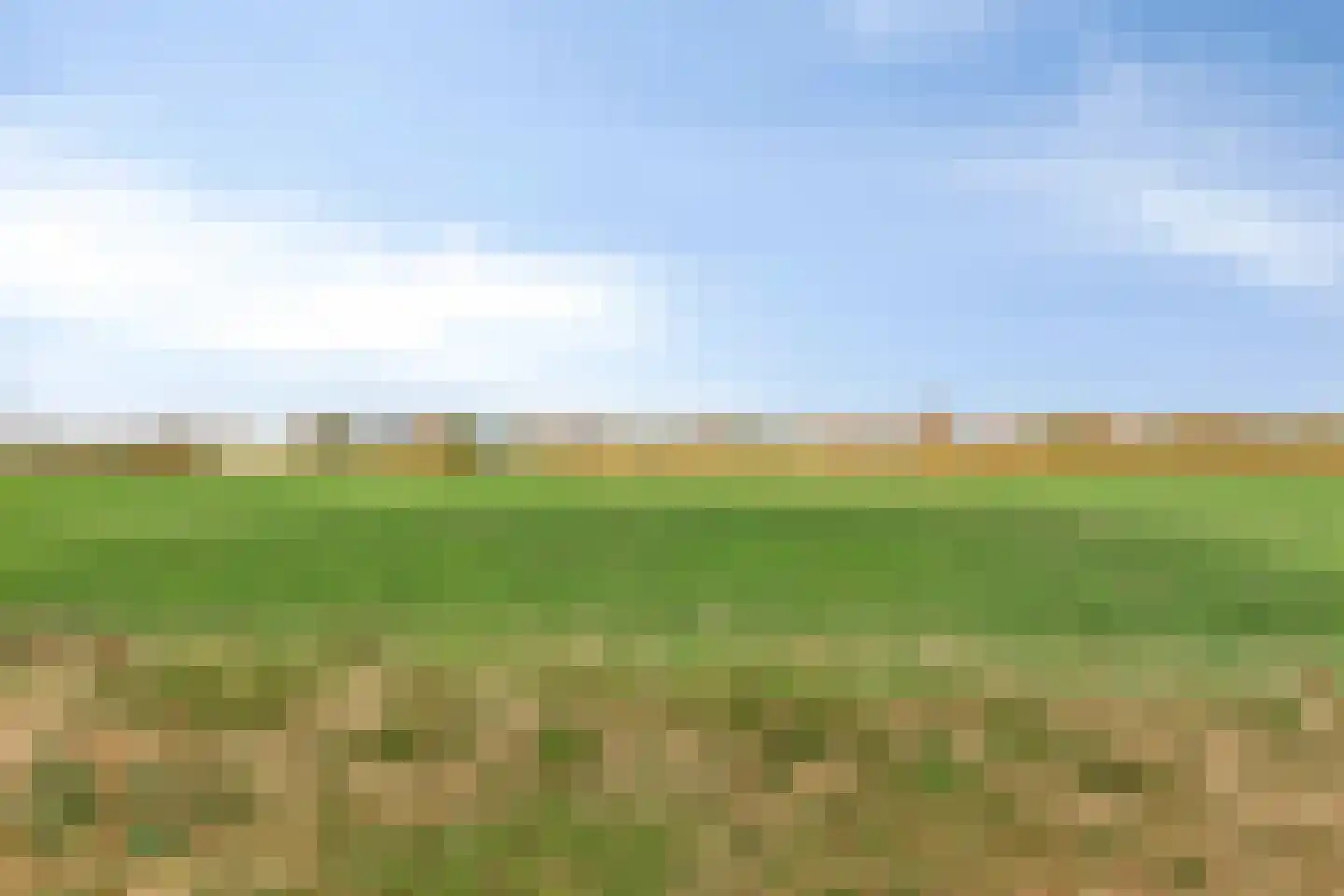 Rijt 46 Best thumbnail 33