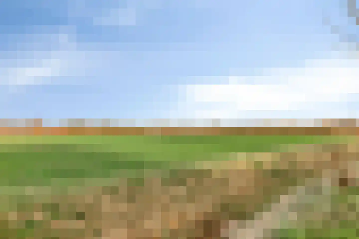 Rijt 46 Best thumbnail 34