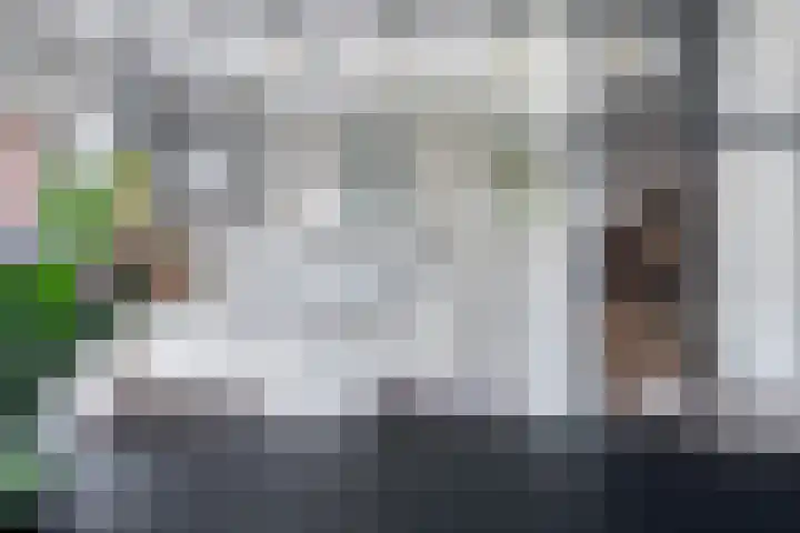 Rijtakker 10 Meijel thumbnail 11