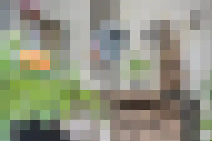 Rijtakker 10 Meijel thumbnail 13