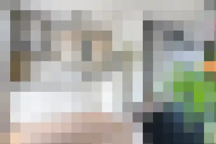 Rijtakker 10 Meijel thumbnail 14