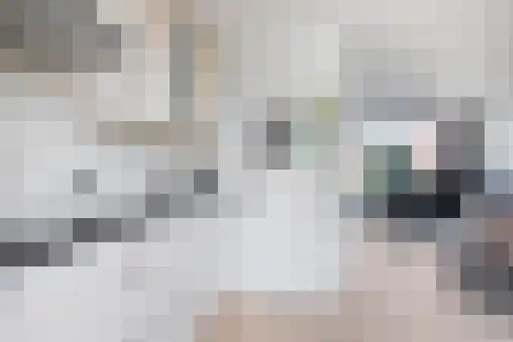 Rijtakker 10 Meijel thumbnail 15