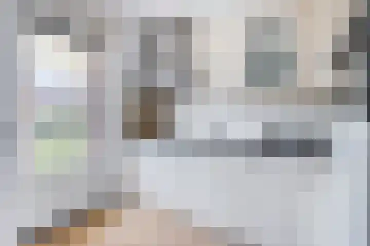 Rijtakker 10 Meijel thumbnail 16
