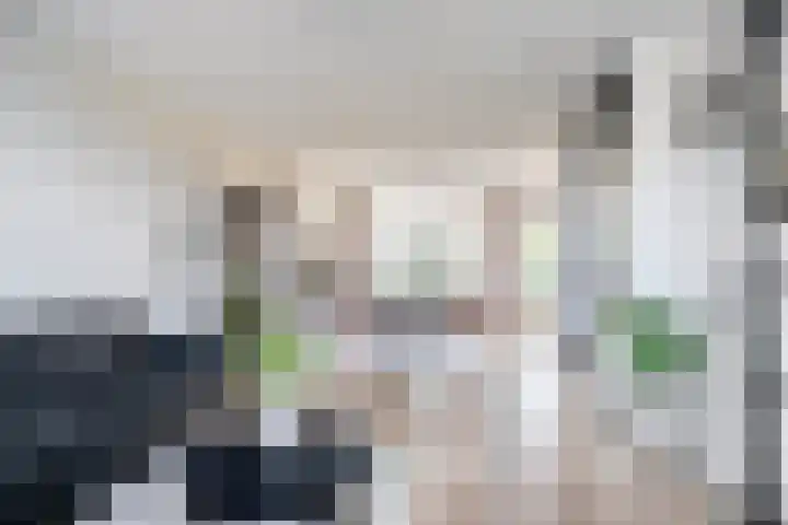 Rijtakker 10 Meijel thumbnail 17