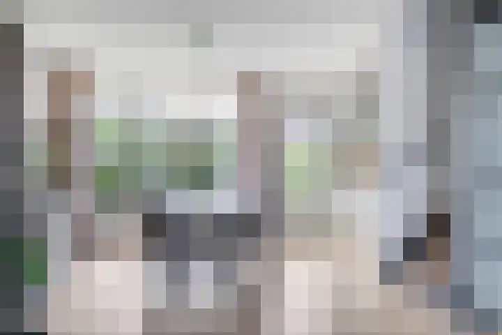Rijtakker 10 Meijel thumbnail 18