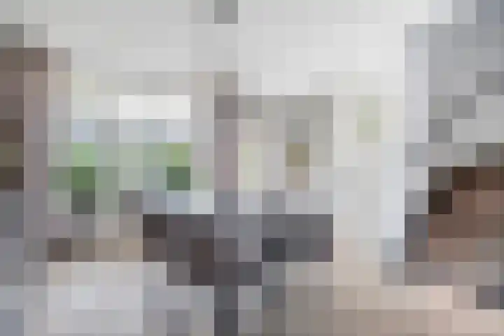 Rijtakker 10 Meijel thumbnail 19