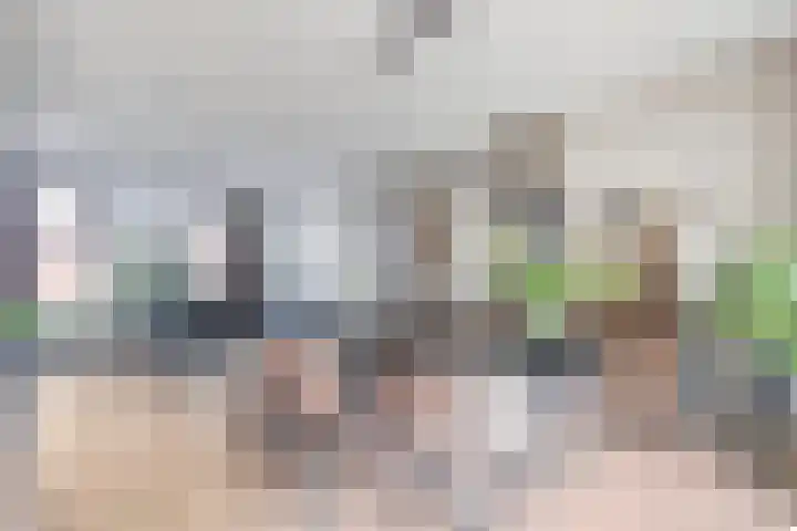 Rijtakker 10 Meijel foto 2