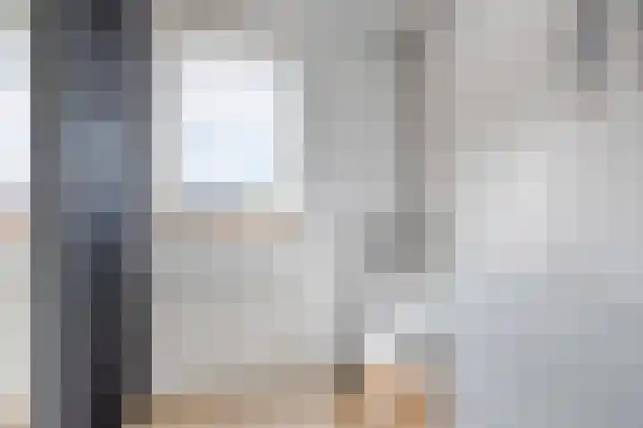 Rijtakker 10 Meijel thumbnail 24