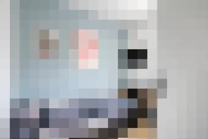 Rijtakker 10 Meijel thumbnail 26