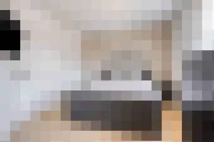 Rijtakker 10 Meijel thumbnail 27