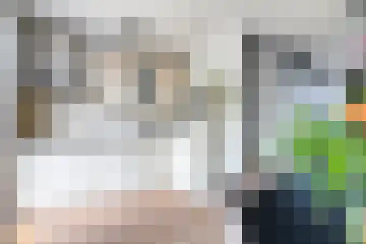 Rijtakker 10 Meijel foto 3