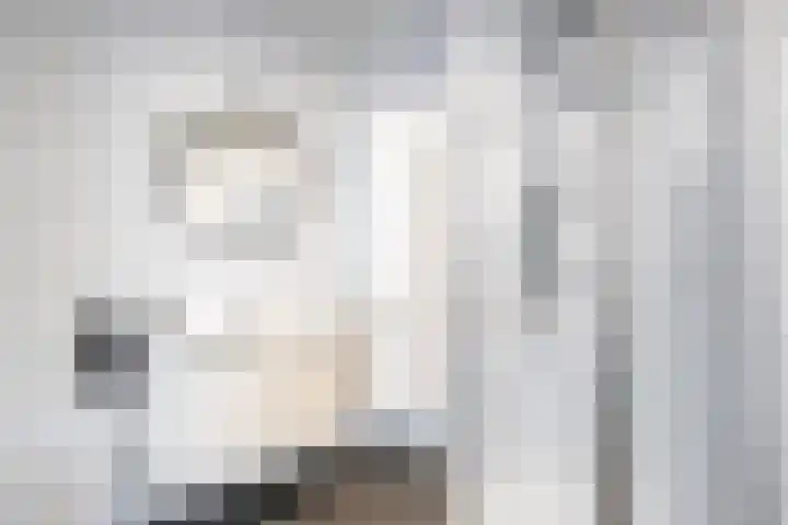 Rijtakker 10 Meijel thumbnail 30