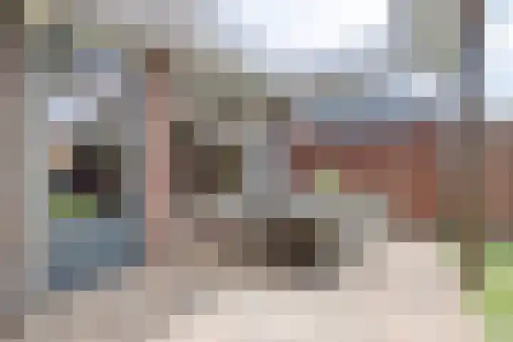 Rijtakker 10 Meijel thumbnail 33