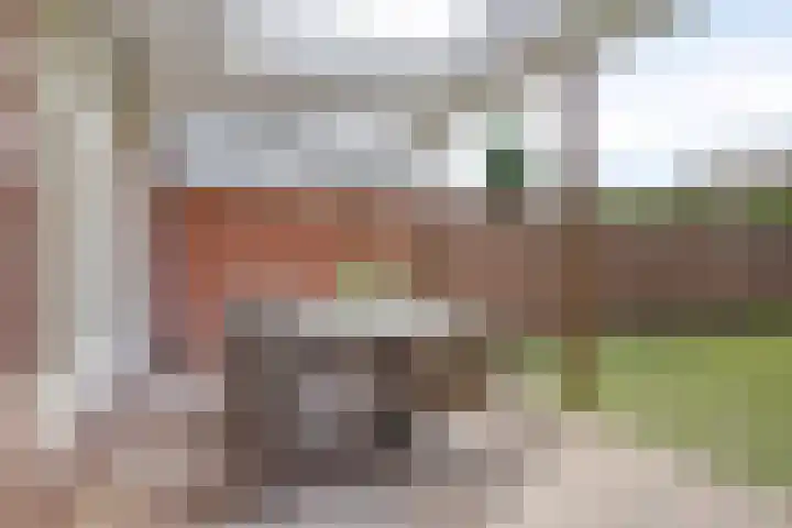 Rijtakker 10 Meijel thumbnail 34