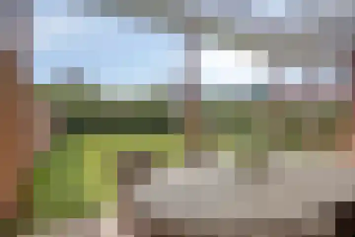 Rijtakker 10 Meijel thumbnail 35