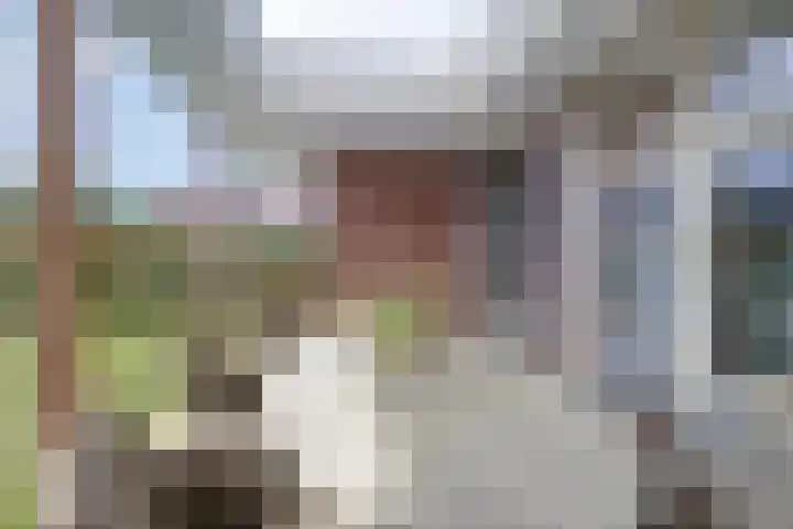 Rijtakker 10 Meijel thumbnail 36