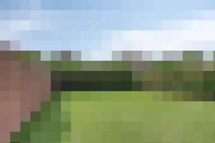 Rijtakker 10 Meijel thumbnail 37