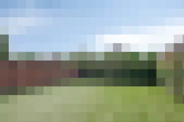Rijtakker 10 Meijel thumbnail 38