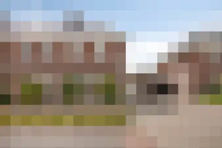 Rijtakker 10 Meijel thumbnail 41