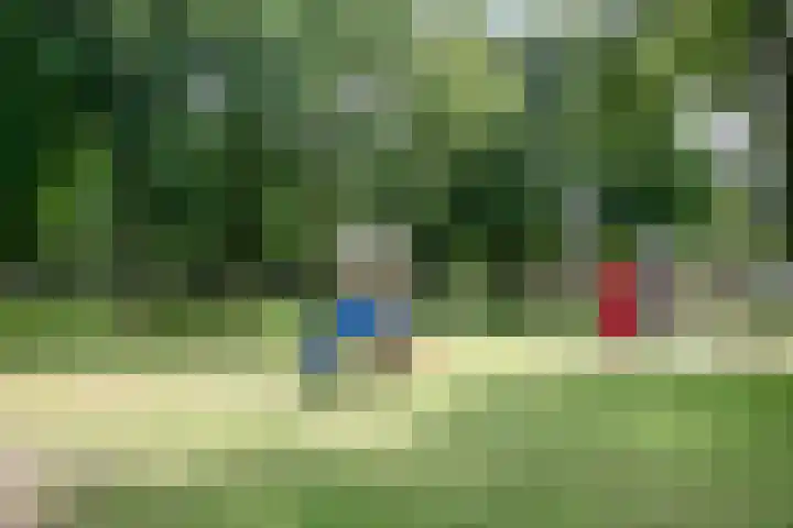 Rijtakker 10 Meijel thumbnail 44