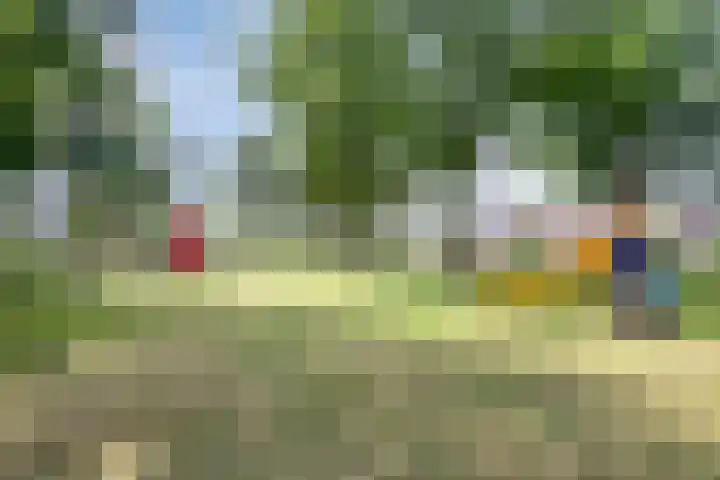 Rijtakker 10 Meijel thumbnail 45