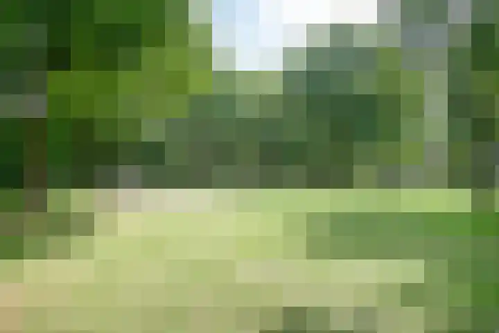 Rijtakker 10 Meijel thumbnail 46