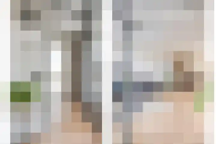 Rijtakker 10 Meijel thumbnail 6