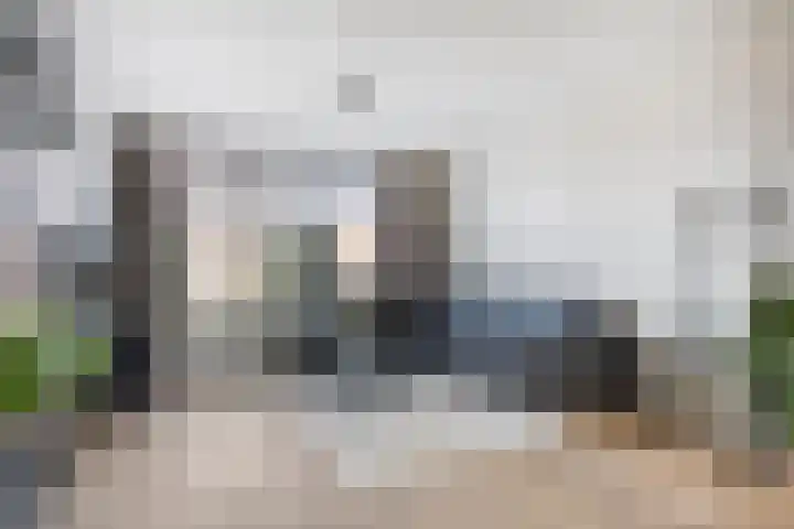 Rijtakker 10 Meijel thumbnail 7