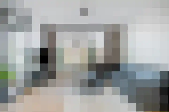 Rijtakker 10 Meijel thumbnail 8