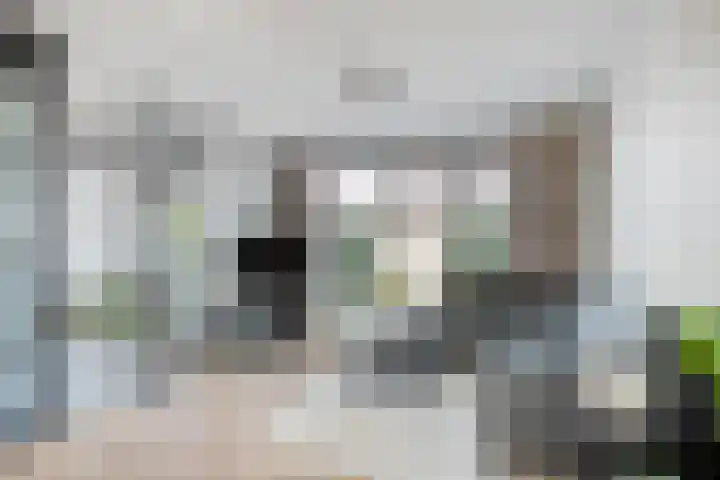 Rijtakker 10 Meijel thumbnail 9