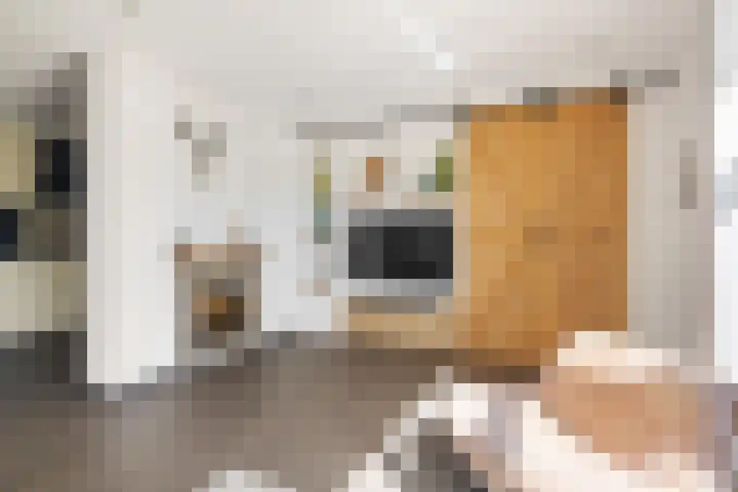 Rijtakker 16 Meijel thumbnail 13