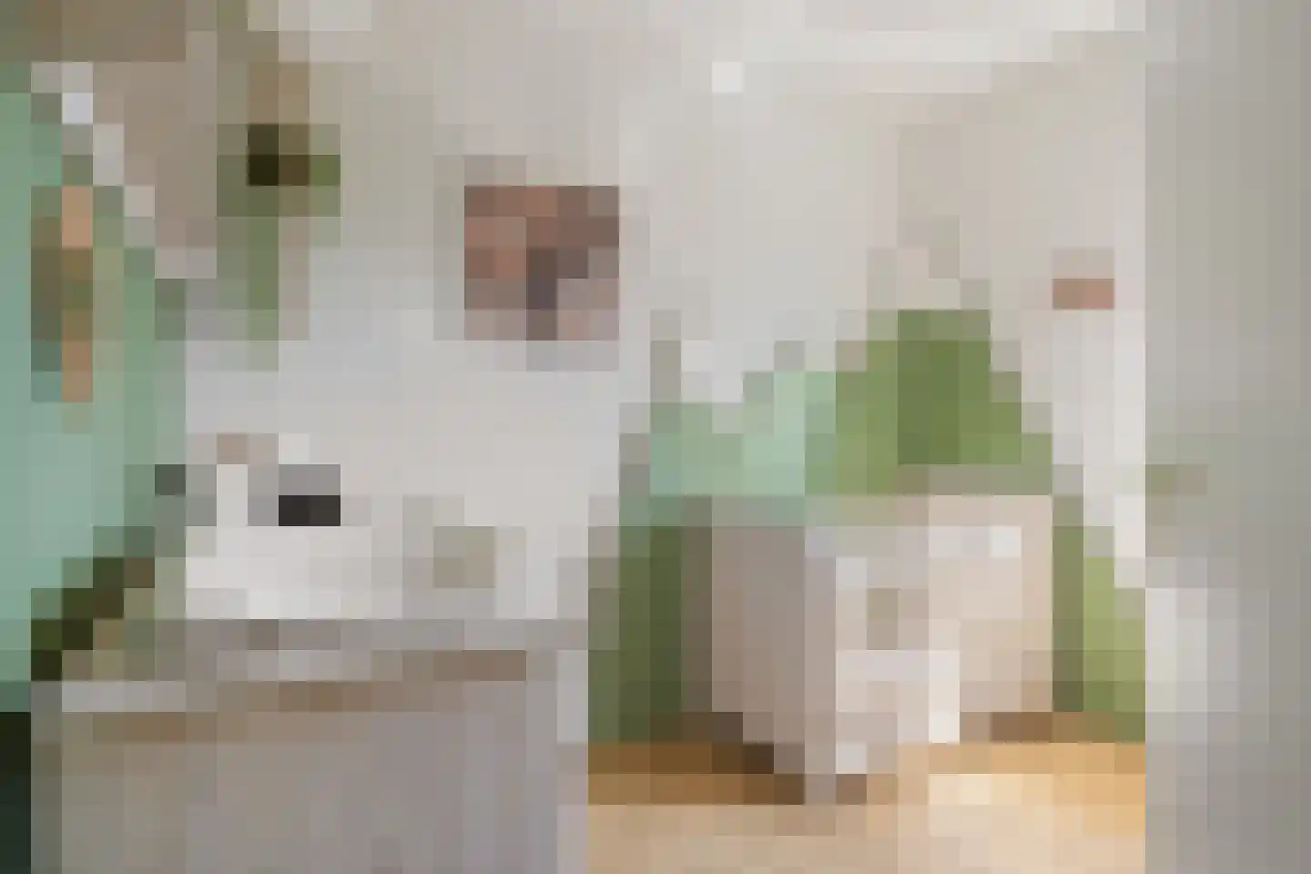 Rijtakker 16 Meijel thumbnail 28