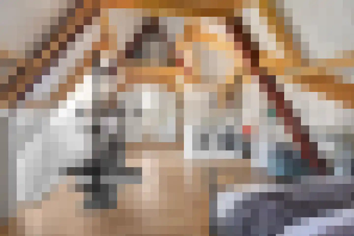 Rijtakker 16 Meijel thumbnail 35