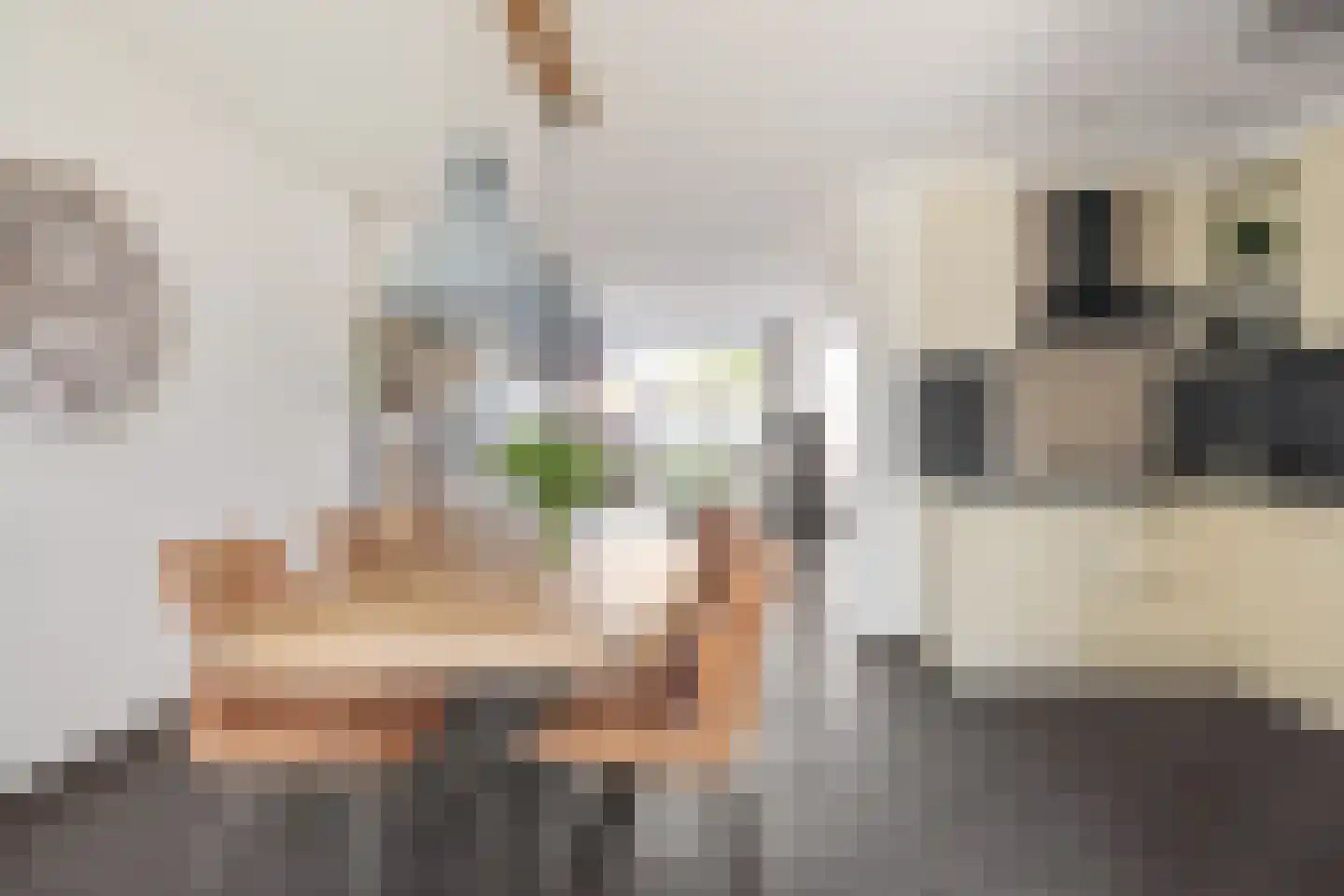 Rijtakker 16 Meijel thumbnail 6