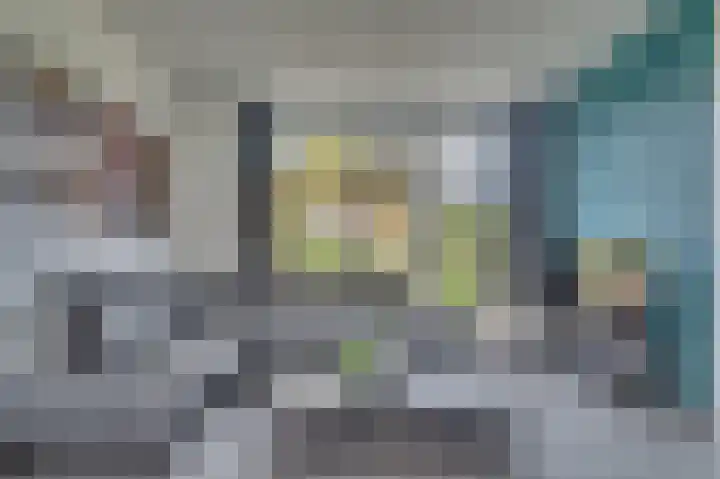 Rijtakker 40 Meijel thumbnail 10