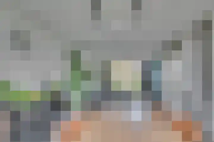 Rijtakker 40 Meijel thumbnail 11
