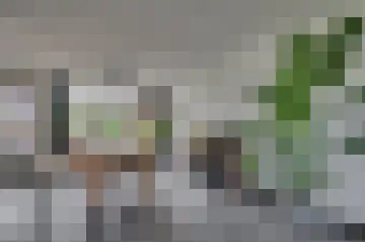 Rijtakker 40 Meijel thumbnail 12