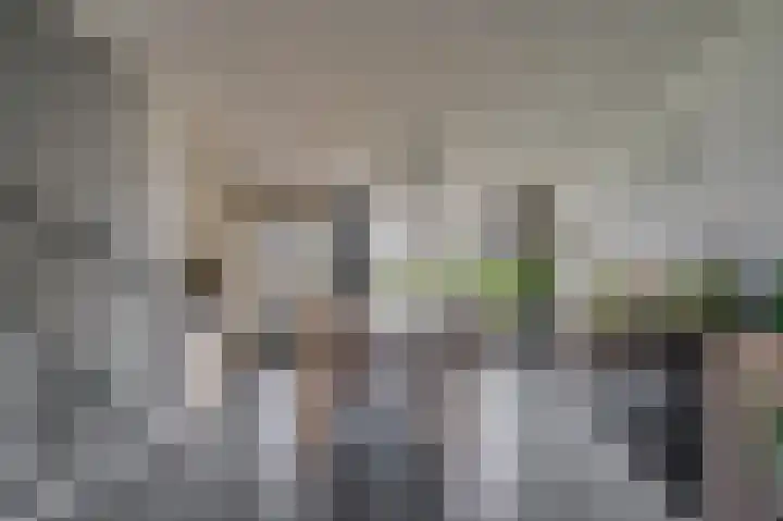 Rijtakker 40 Meijel thumbnail 13
