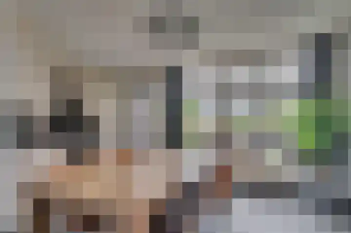 Rijtakker 40 Meijel thumbnail 14