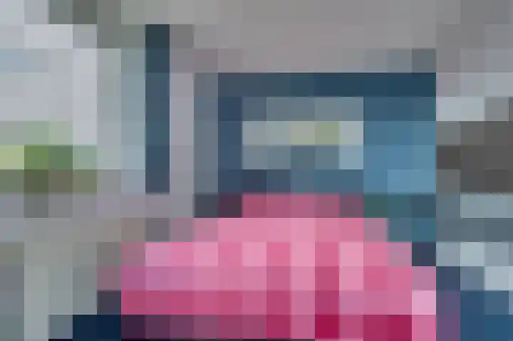Rijtakker 40 Meijel thumbnail 19