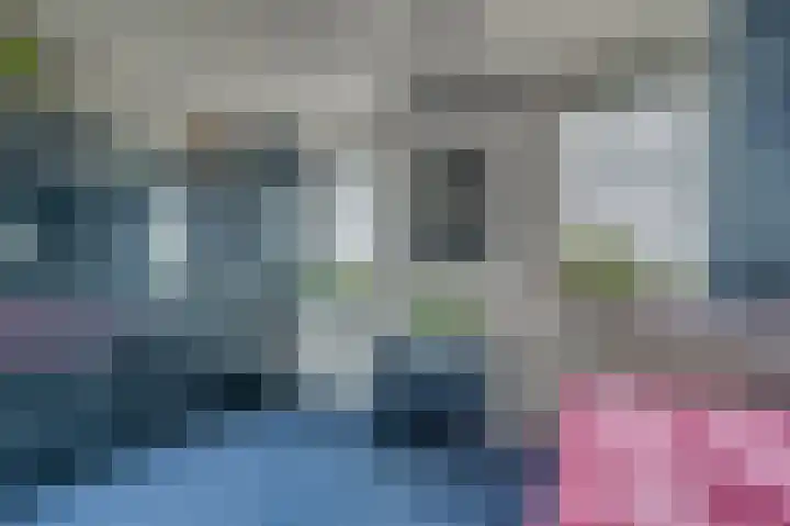Rijtakker 40 Meijel thumbnail 20