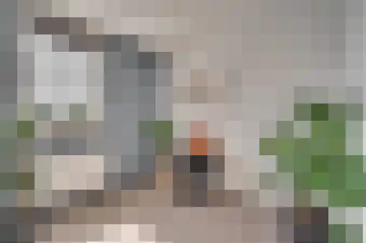 Rijtakker 40 Meijel thumbnail 22