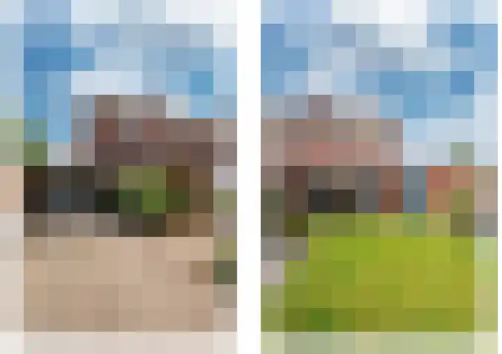 Rijtakker 40 Meijel foto 3