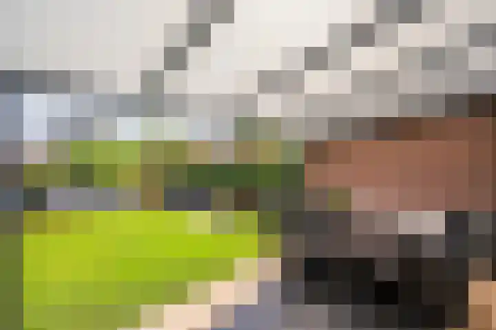 Rijtakker 40 Meijel thumbnail 32