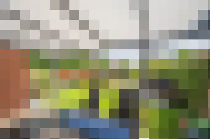 Rijtakker 40 Meijel thumbnail 33