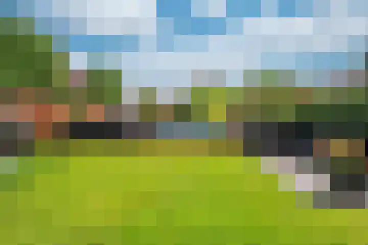 Rijtakker 40 Meijel thumbnail 34