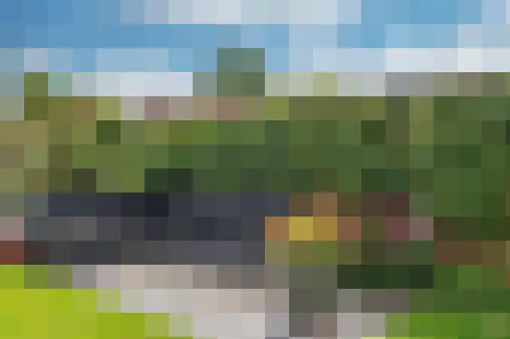Rijtakker 40 Meijel thumbnail 36