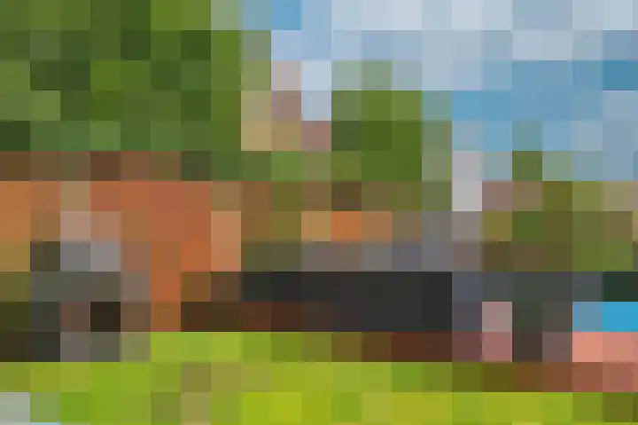 Rijtakker 40 Meijel thumbnail 37