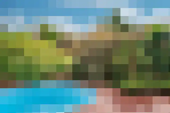 Rijtakker 40 Meijel thumbnail 38