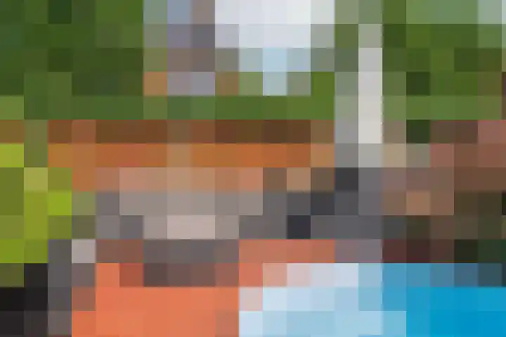 Rijtakker 40 Meijel thumbnail 39